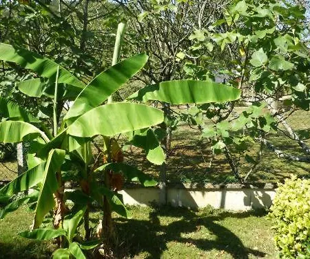 Le Miramont Bed & Breakfast Orincles