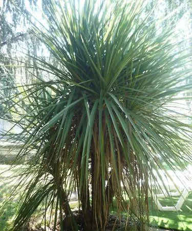 Le Miramont Frühstückspension Orincles